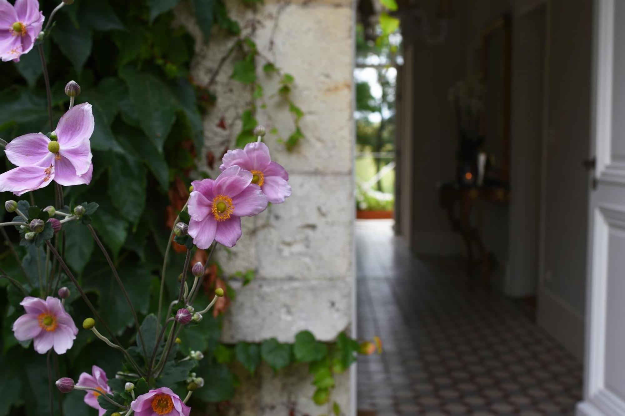 Berry-Bouy Domaine De L'Ermitage B&B 외부 사진